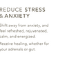 Reduce Stress & Find Calm Stone Pouch